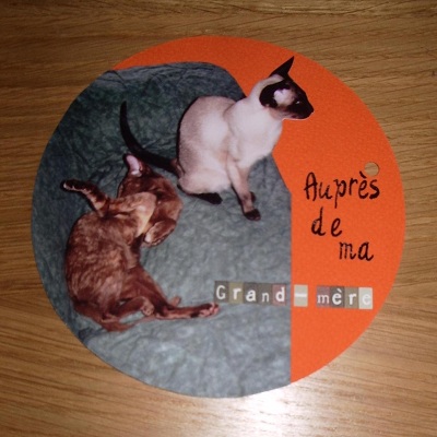 chaton siamois fin