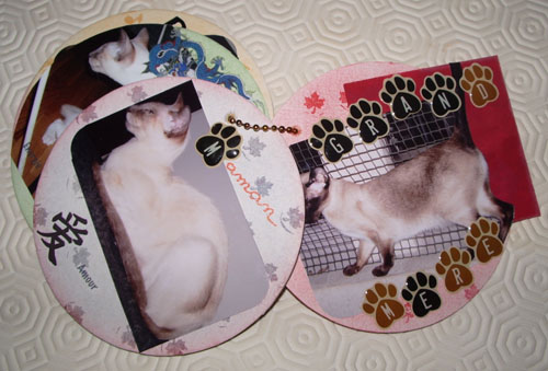 maman et grand-mre chat