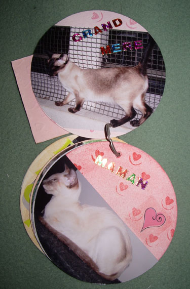 maman et grand-mre chat
